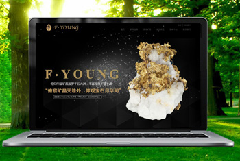 ��ͷ�������ﱦʯ